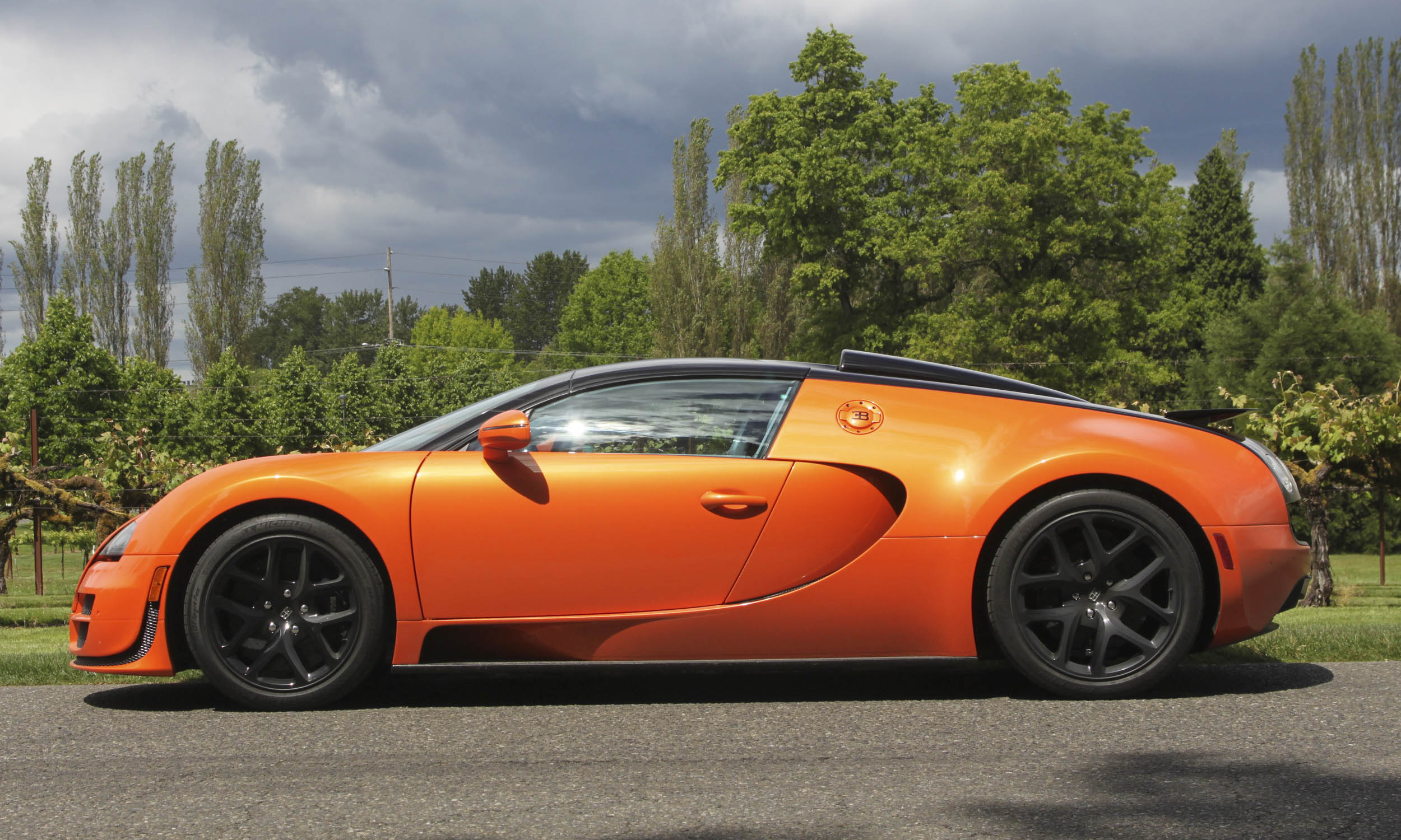 Sweet Rides for Halloween Cars in Orange and Black