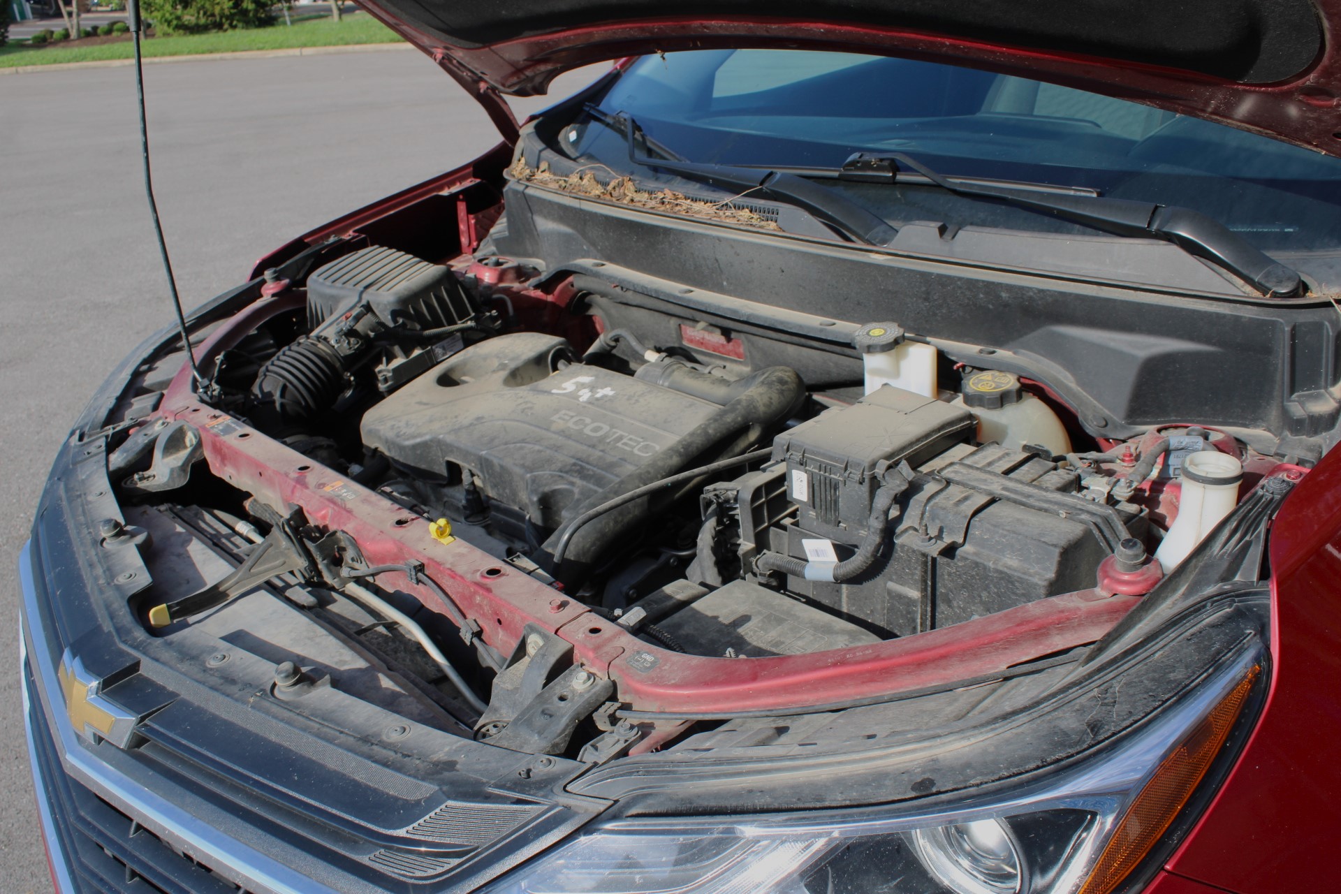 Detail Center Auto Spa Etc.