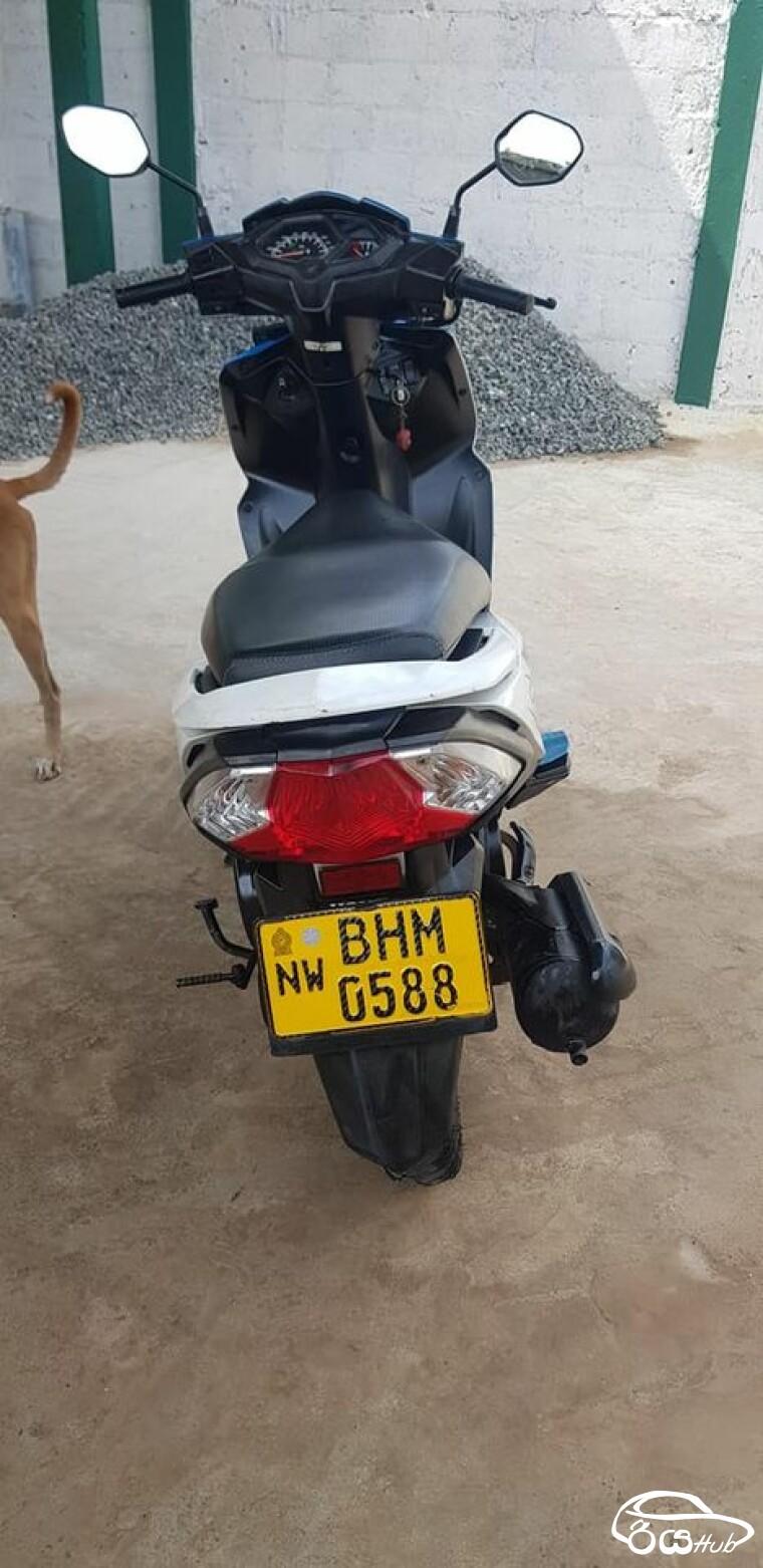 Used Honda Dio SCV110 2019 Motorcycle for Sale Rs.555000 in