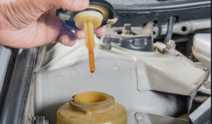 5 Best Power Steering Fluid Oil Review (Where to Buy Power Steering
