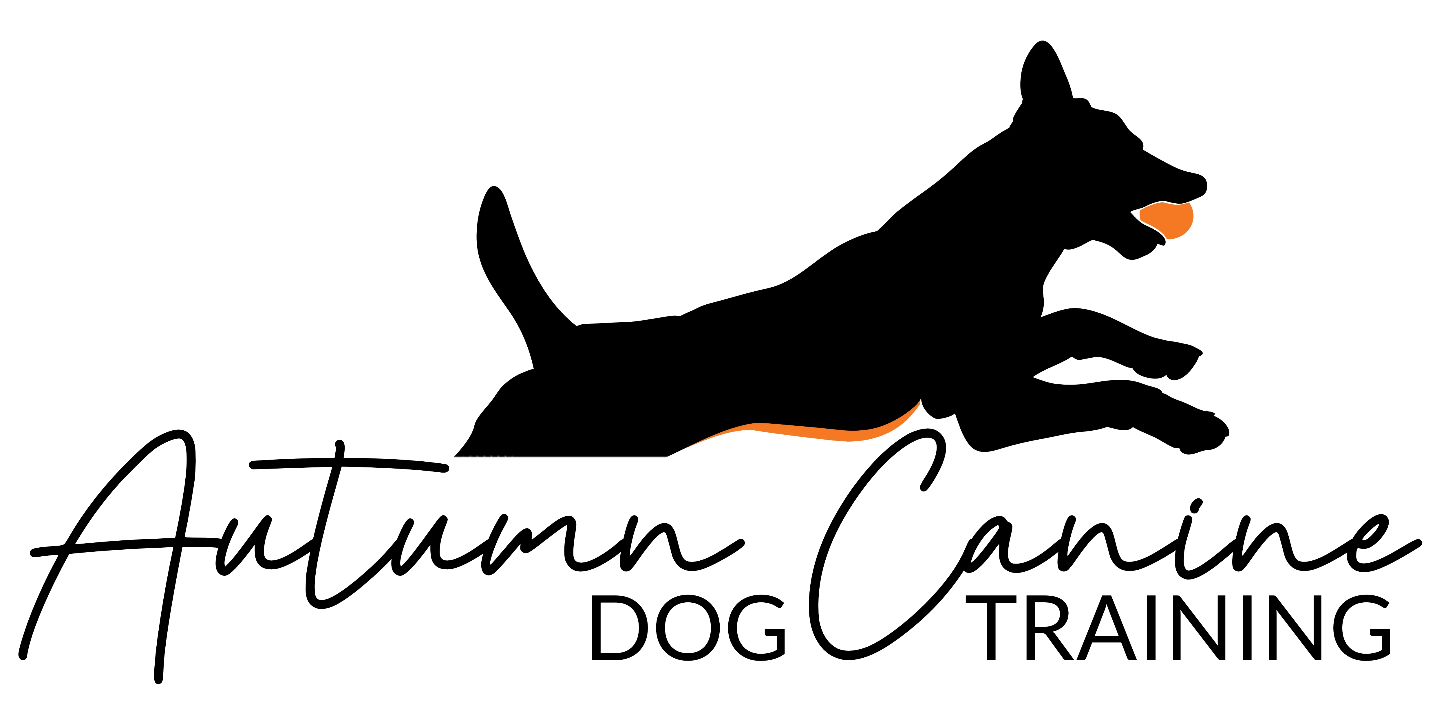 Puppy and Dog Obedience Training in Bacchus Marsh.