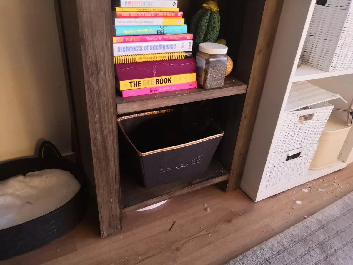 5 Tips for a Faster and Easier Move Available Ideas