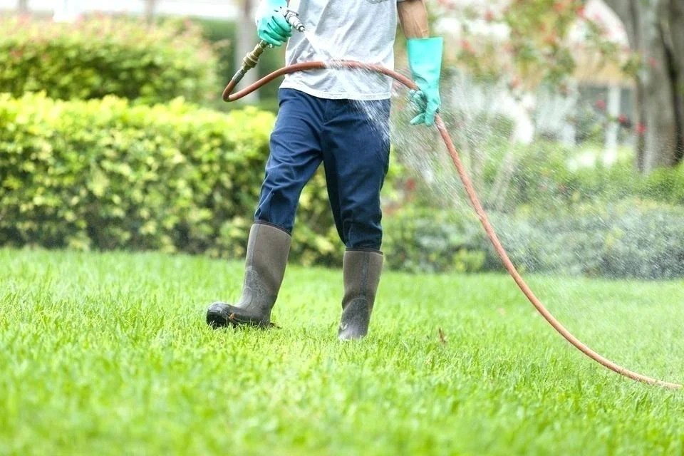 The Professional Approach to Pesticide Usage in Home and Business