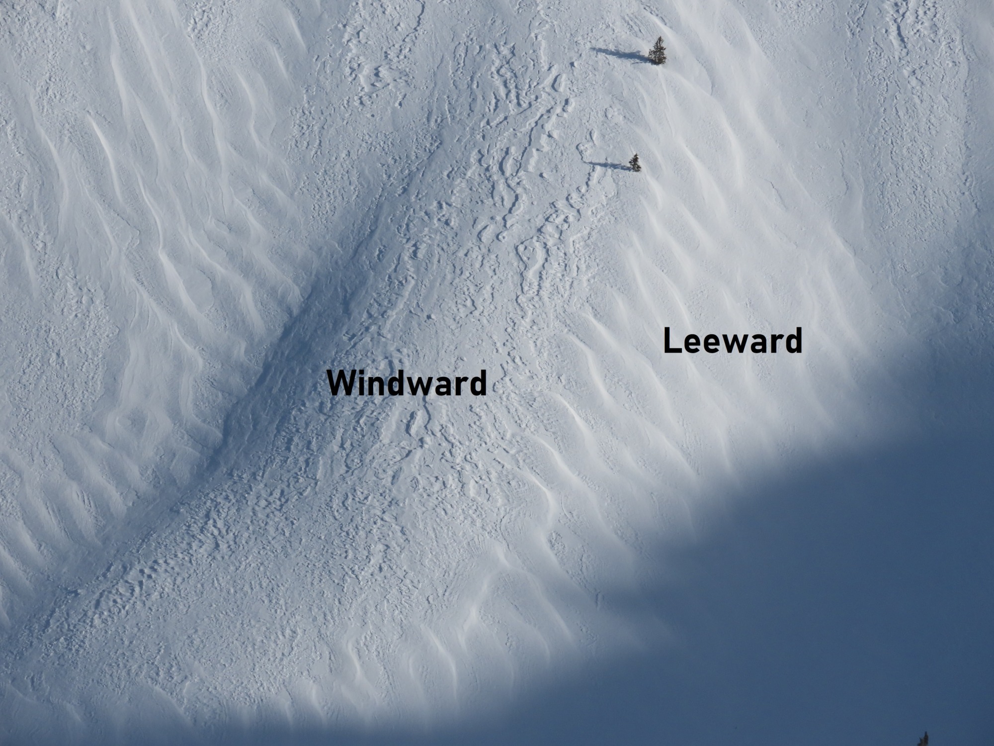 » Windward