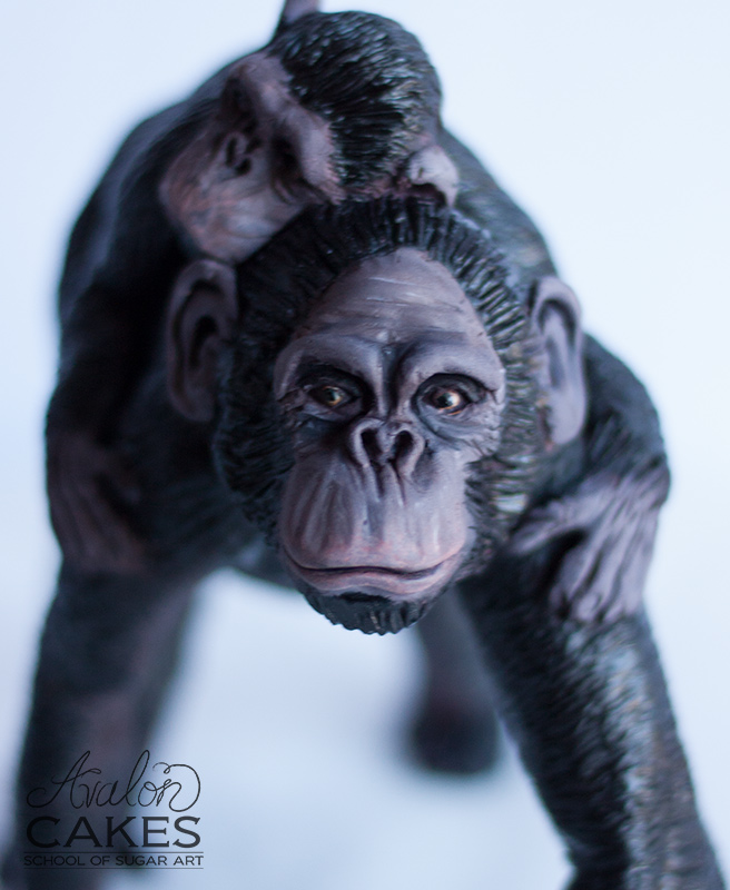 Bonobo Sugar Figurine Tutorial