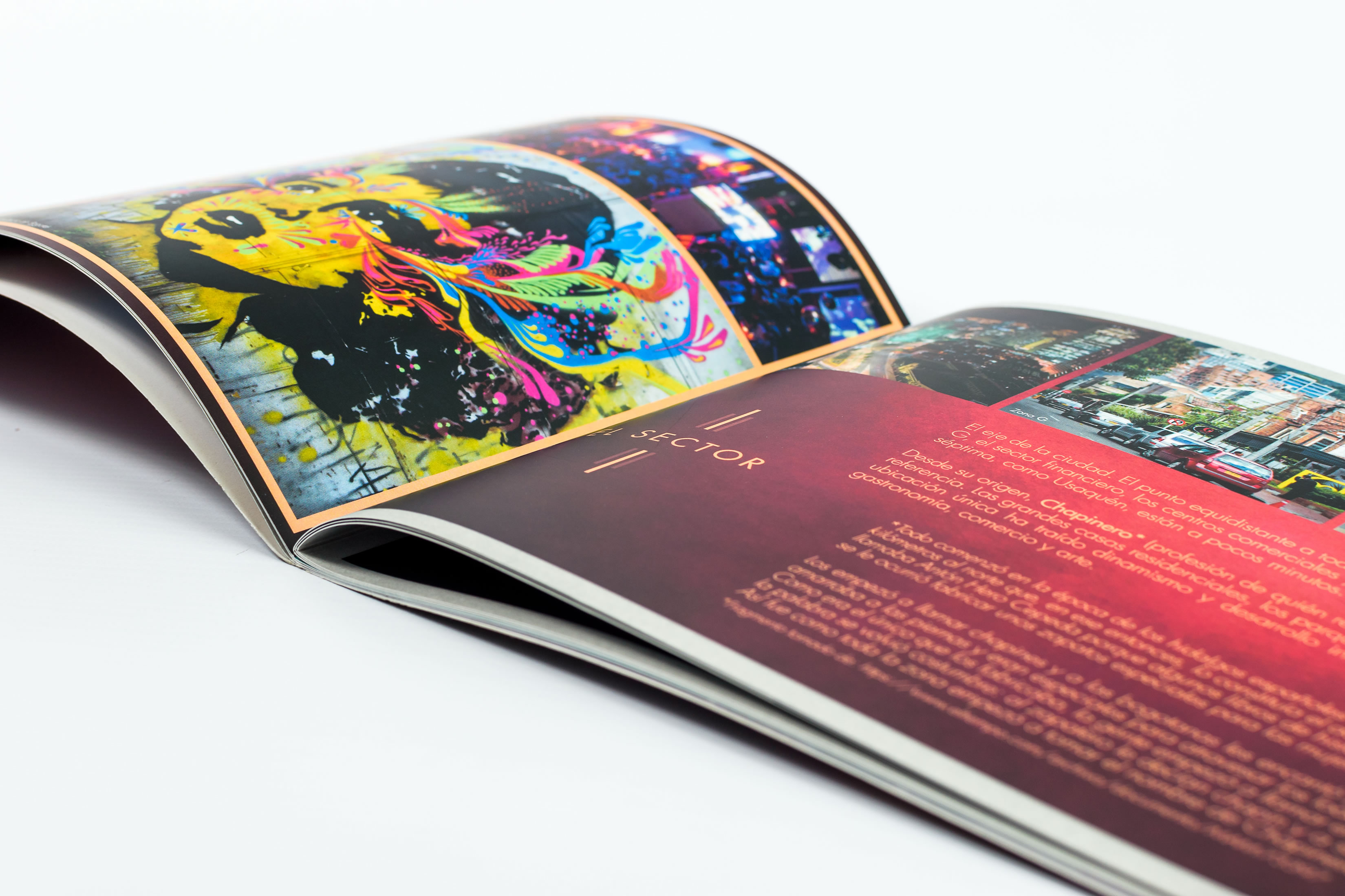 Libros, Revistas Avalon Creatives