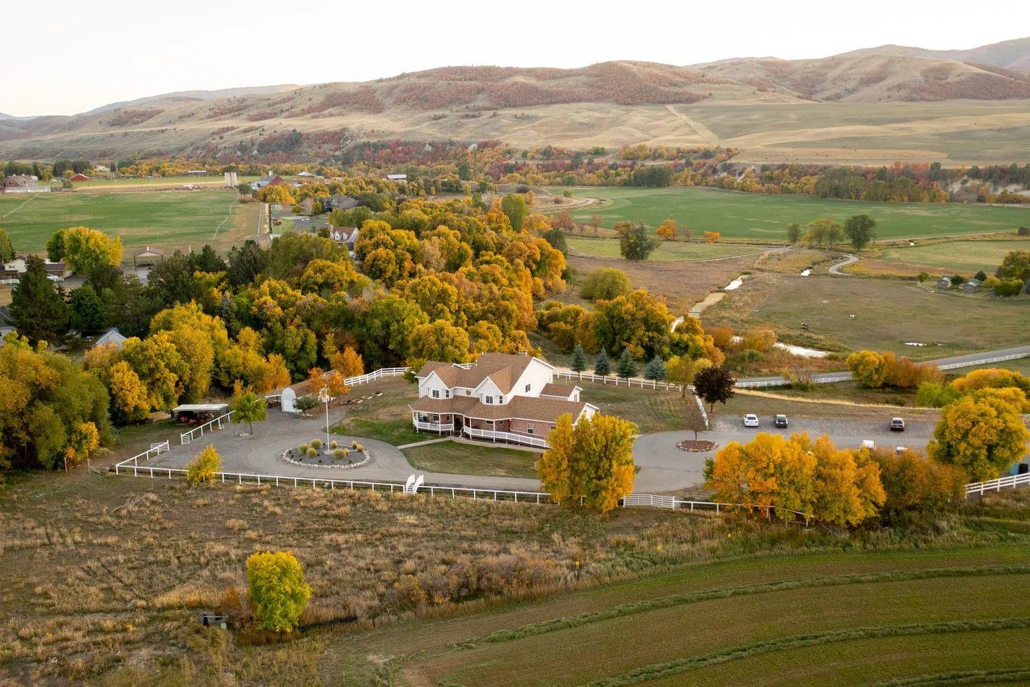 We Are Avalon Hills Avalon Hills