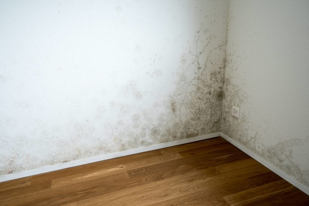7 Signs of Water Damage in Walls Avalon Home Inspections