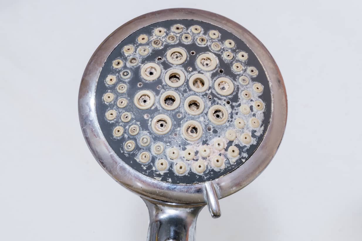 How To Clean Shower Head Without Vinegar Avalon Home Inspections