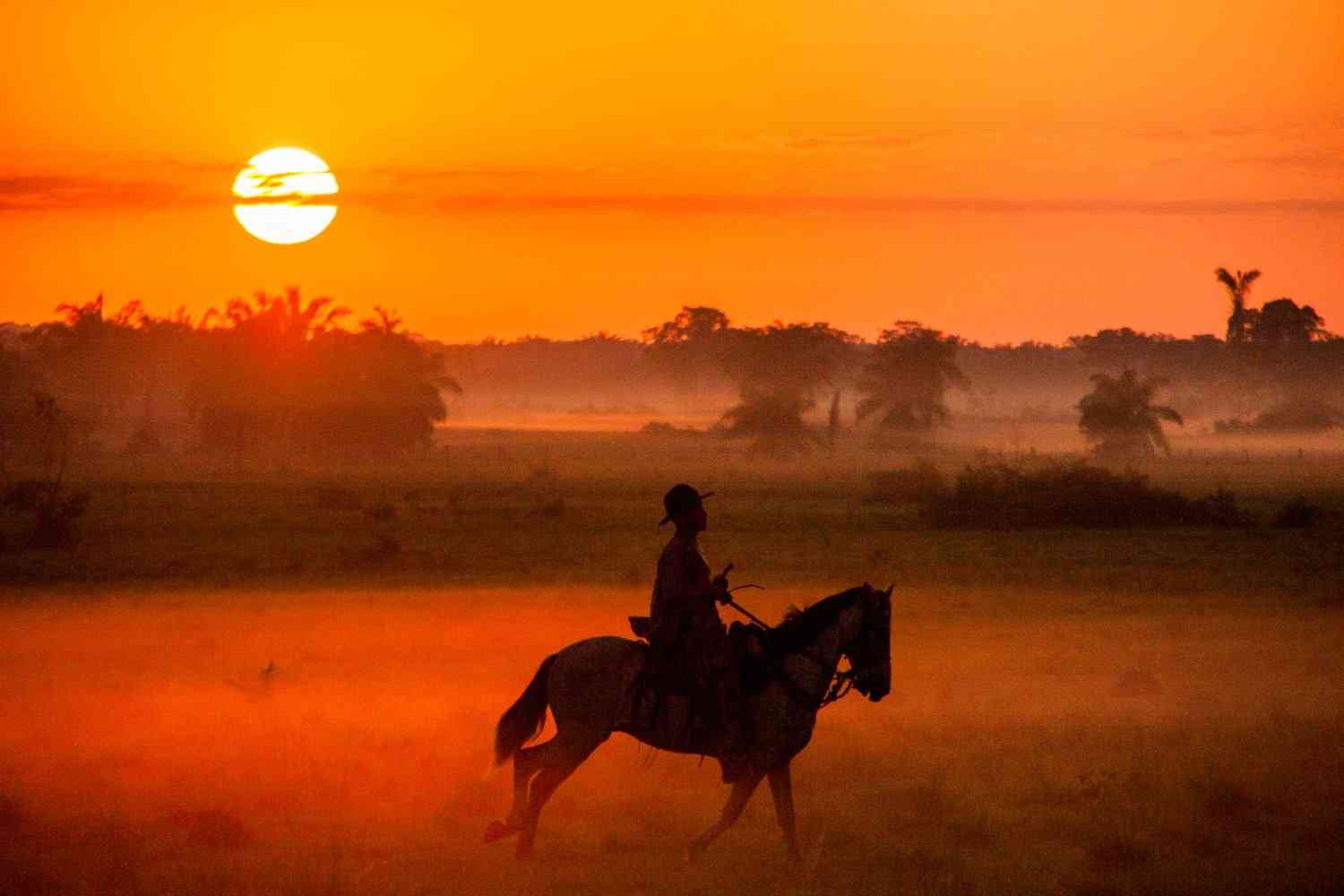 Viaje y excursión a los LLANOS ORIENTALES 2022 Avalturistica