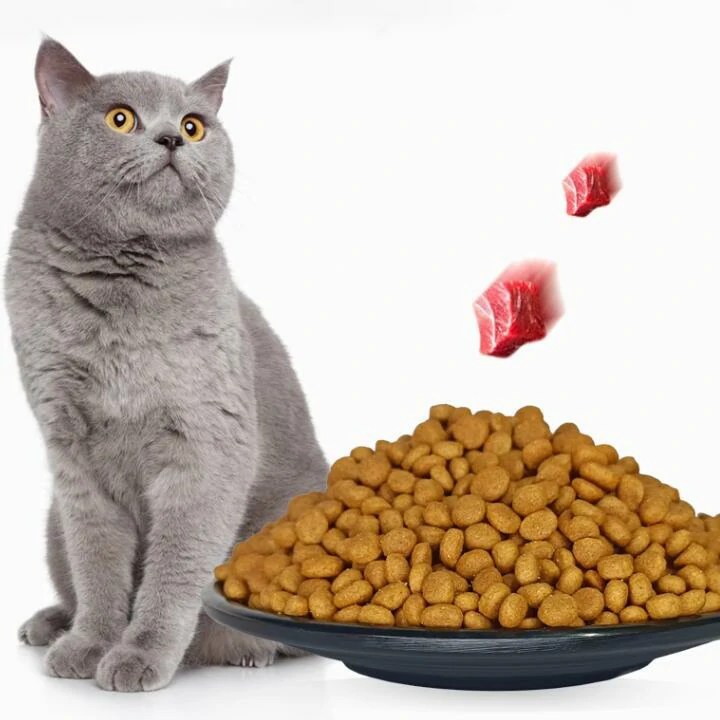 Cat Food Production Line