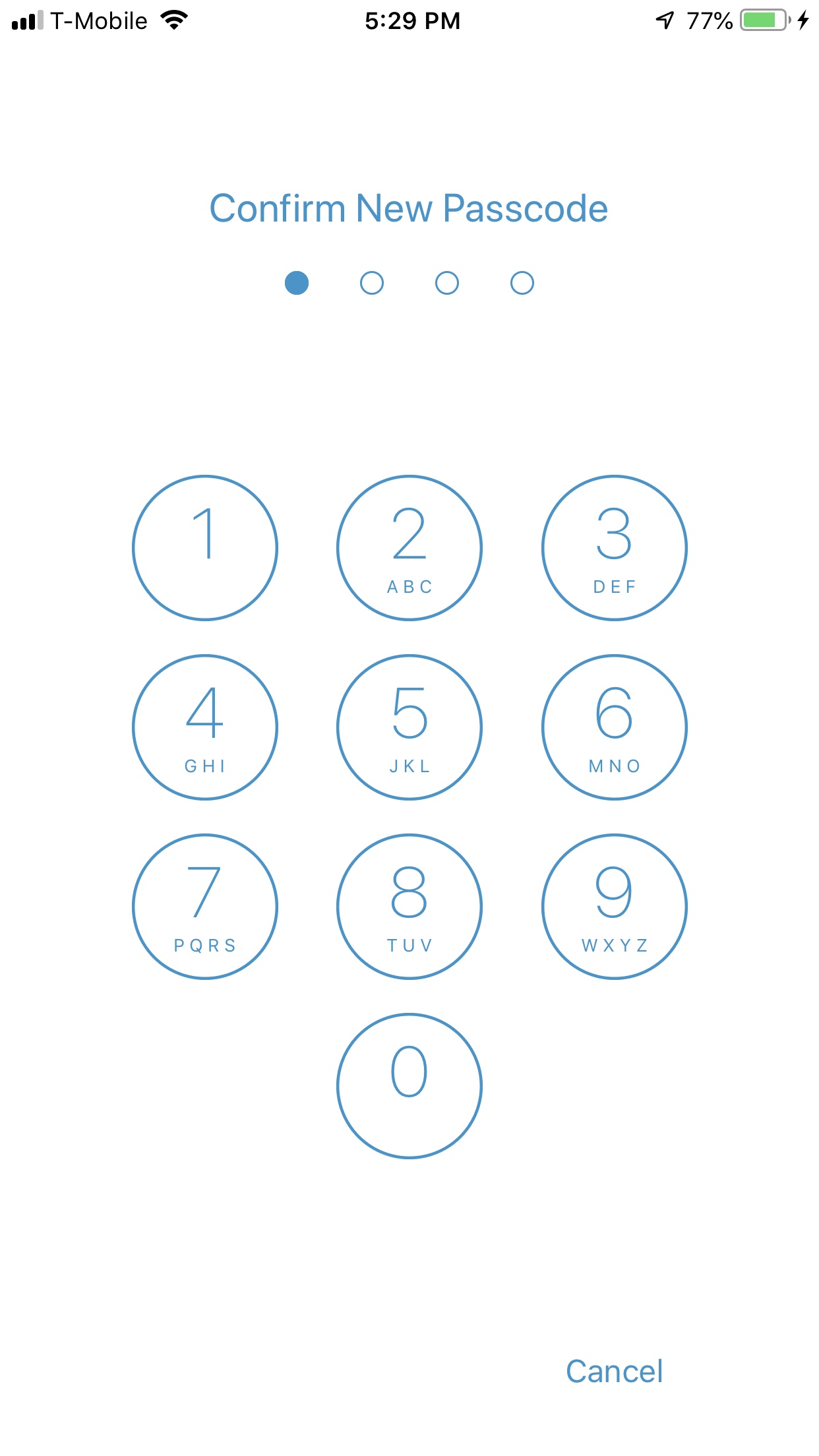 Passcode, Touch ID, and Face ID Avanquest