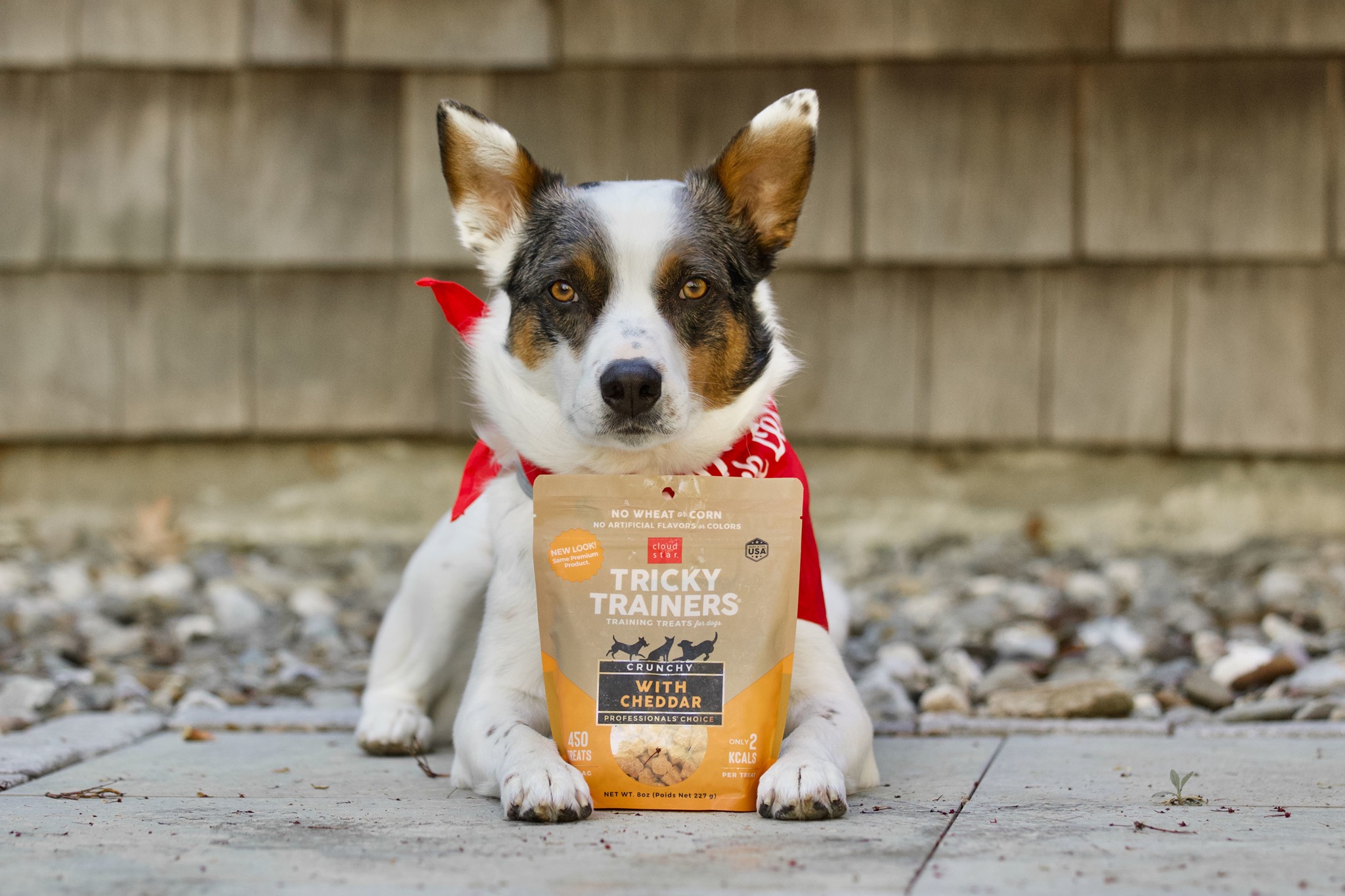 Whitebridge Pet Brands Avante Capital Partners