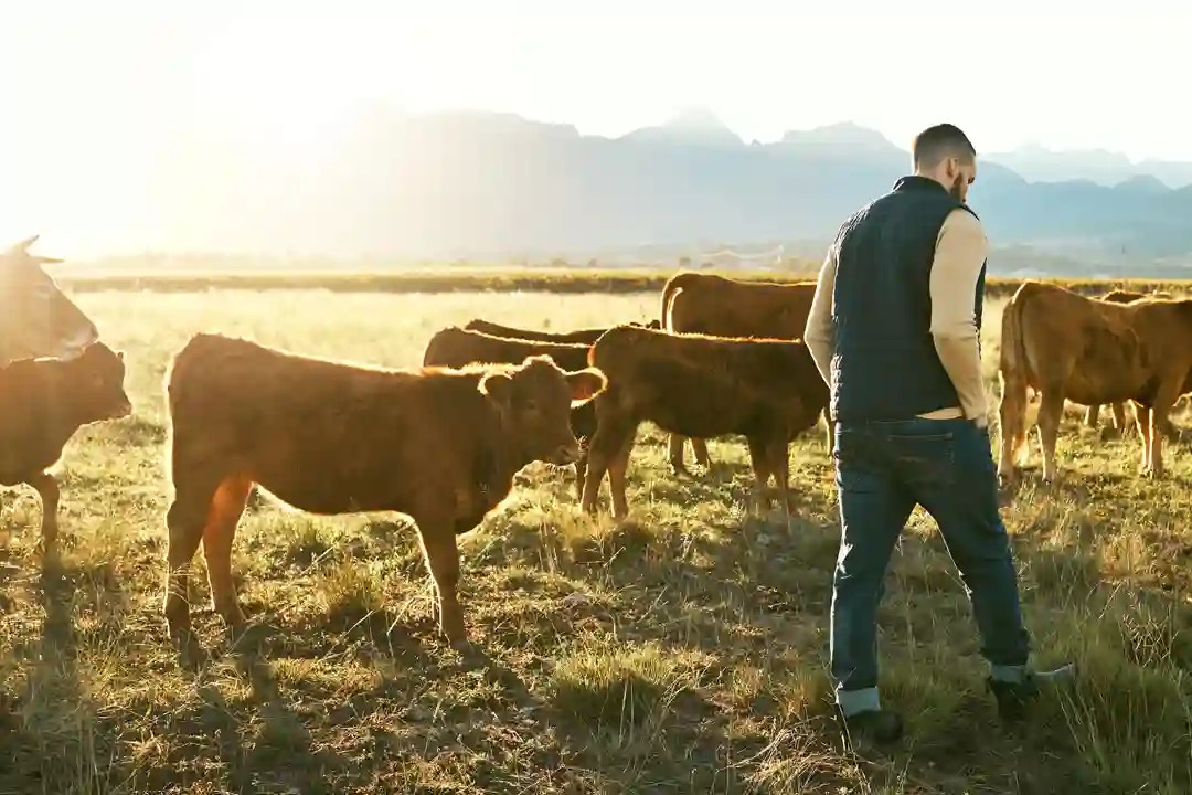 Victorian Rural Landholder Grants Avant Group Consultants