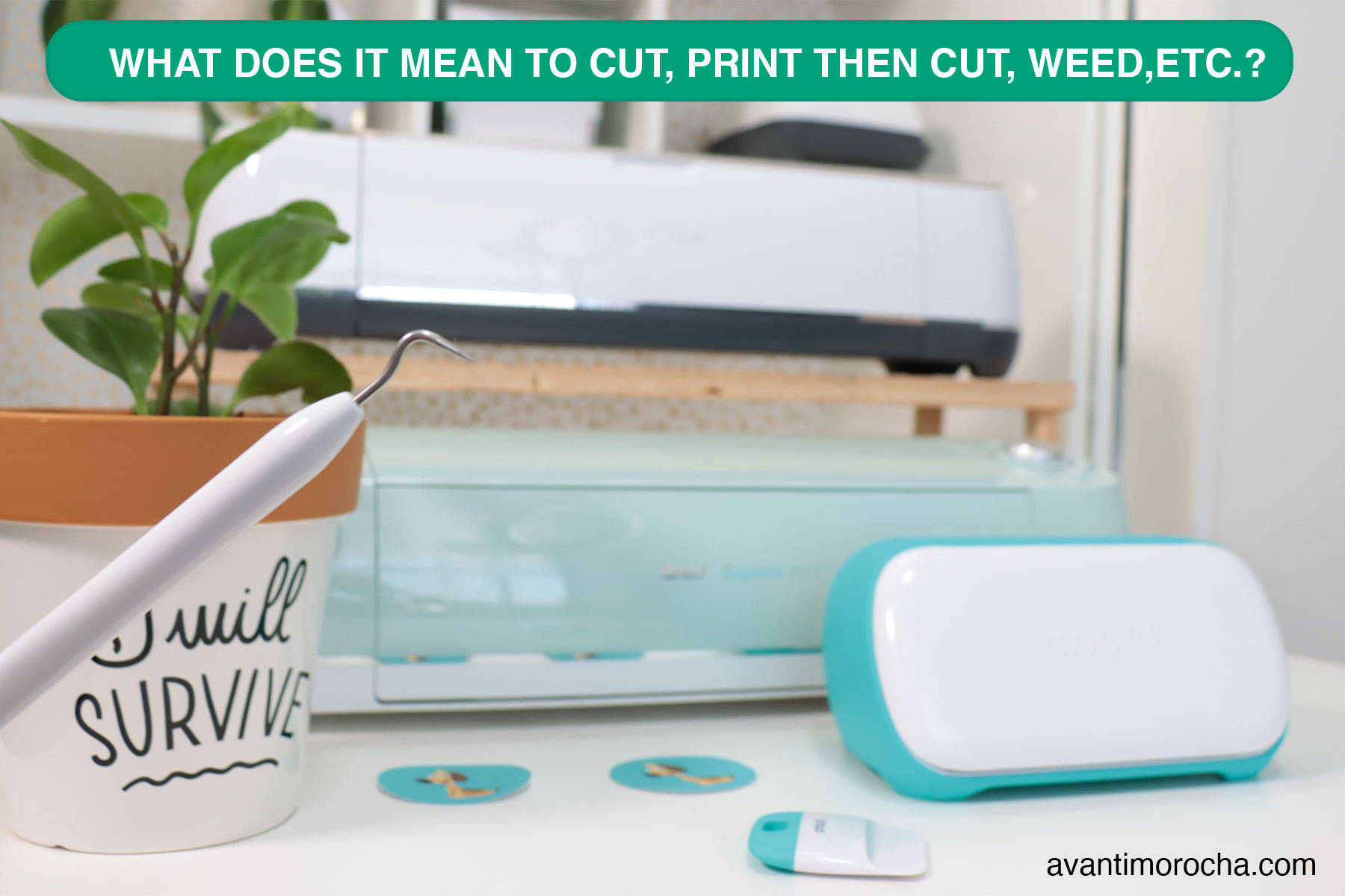 Cricut What does it mean to cut, print then cut, weed, etc.? Avanti