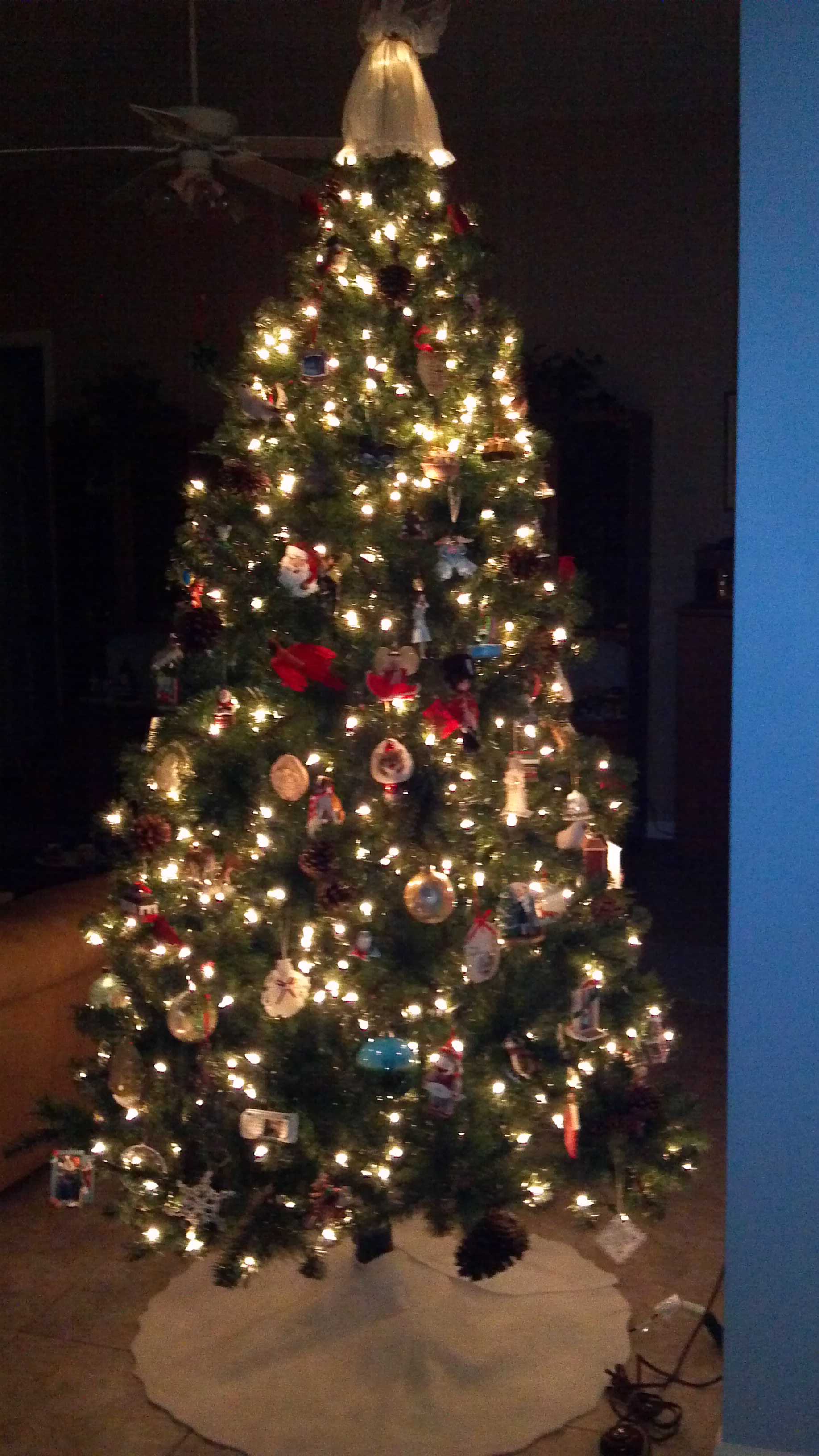 Favorite Christmas Tradition Ava Pennington