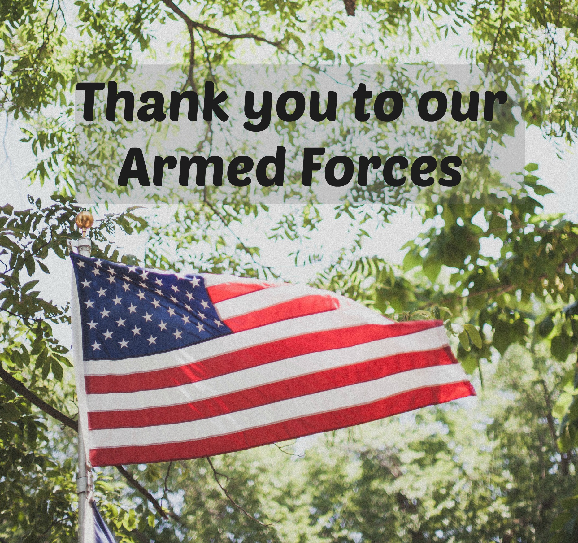 The Difference Between Memorial Day, Veteran's Day, and Armed Forces