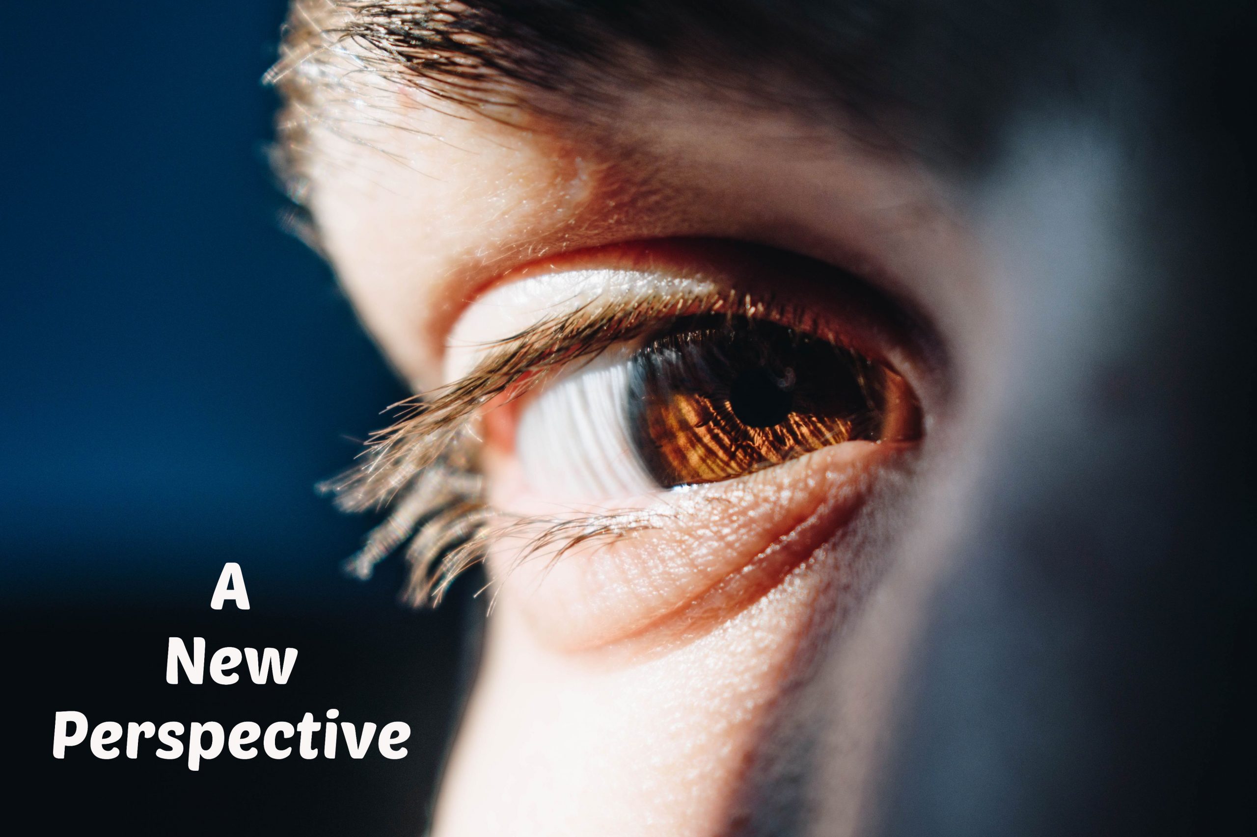 A New Perspective Ava Pennington(04)