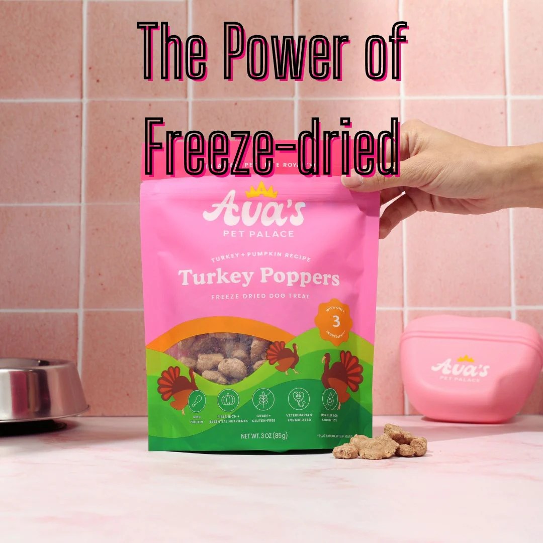 The Power of FreezeDried Dog Treats Ava's Pet Palace