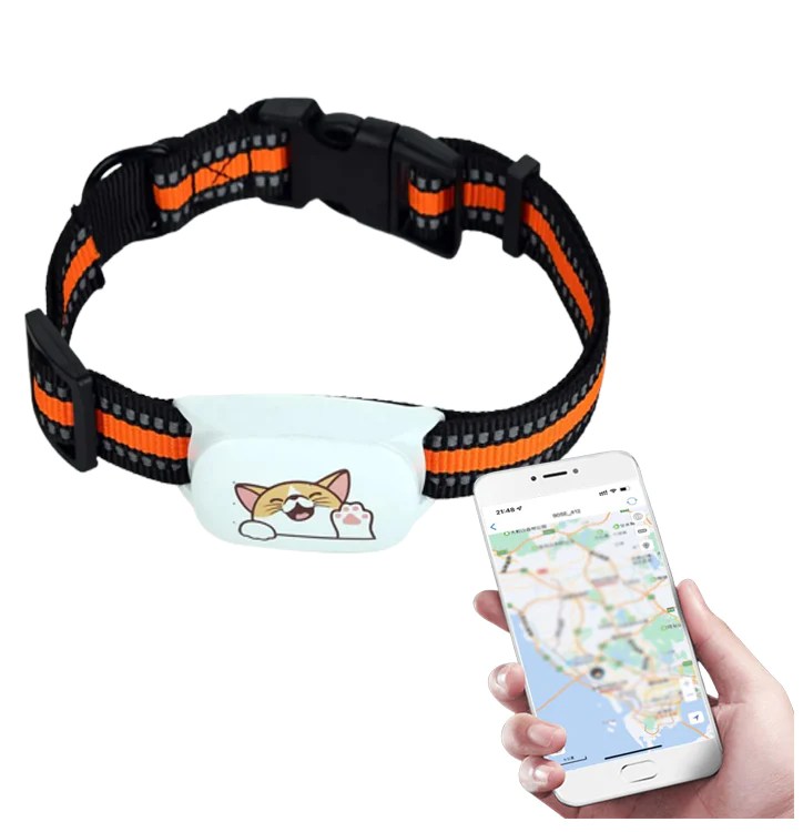The 5 best cat GPS collars for 2023 UK Ava's Review