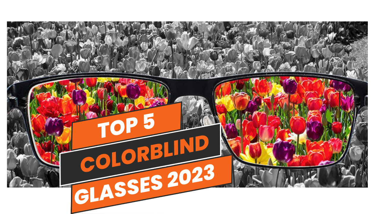 Colorblind glasses lawrence Copy Ava's Review