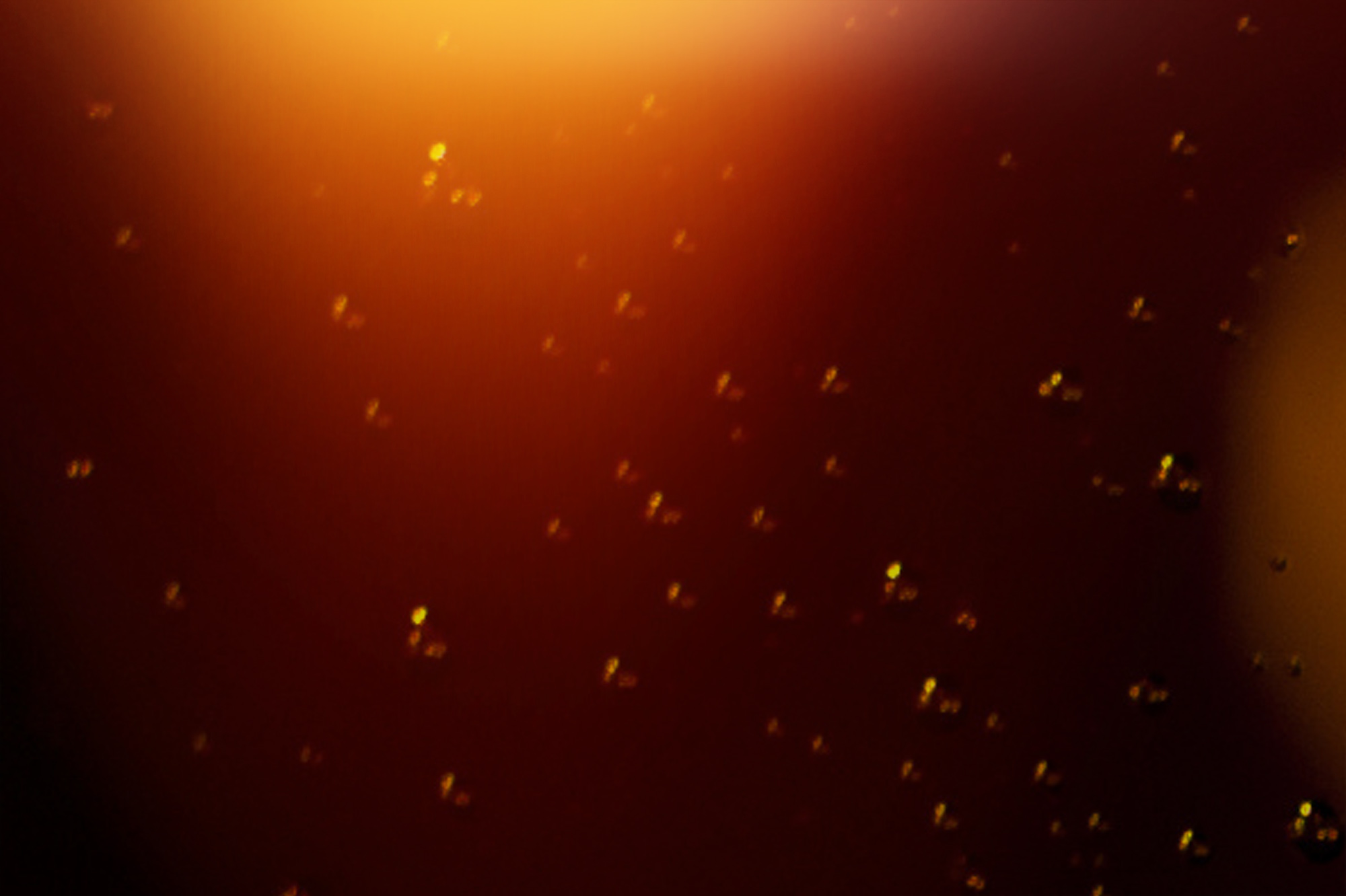 Текстура Текстура эффекта Солнечные искры AVATAN PLUS