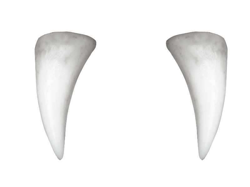 Наклейка Клыки PNG AVATAN PLUS