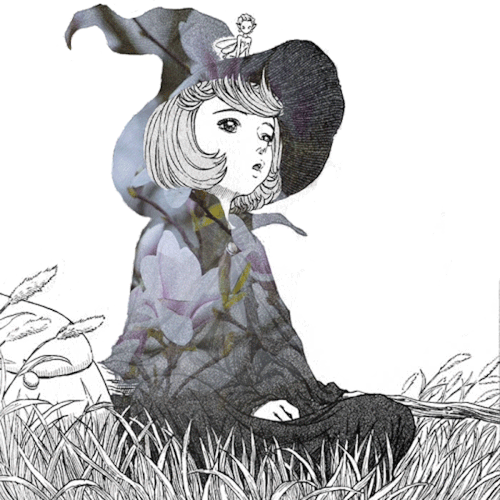 Schierke (Berserk) Desktop Wallpapers, Phone Wallpaper, PFP, Gifs