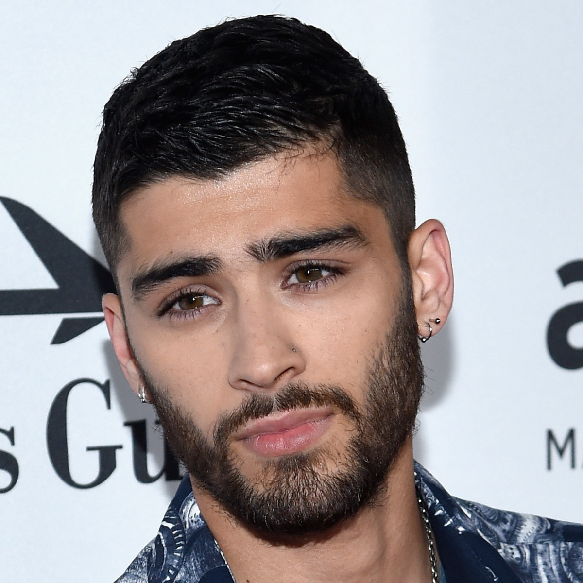 Zayn Malik Pfp