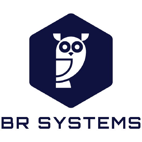 BR Systems · GitHub