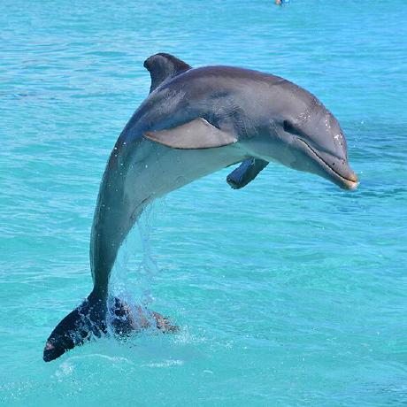 Posting code to this subreddit: GitHub - Raymo111/kahoot-answer-bot: A bot to win Kahoots