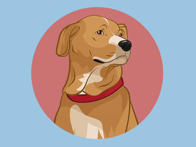 Cartoon Your Dog Turn Your Pent Into A Custom Drawing
