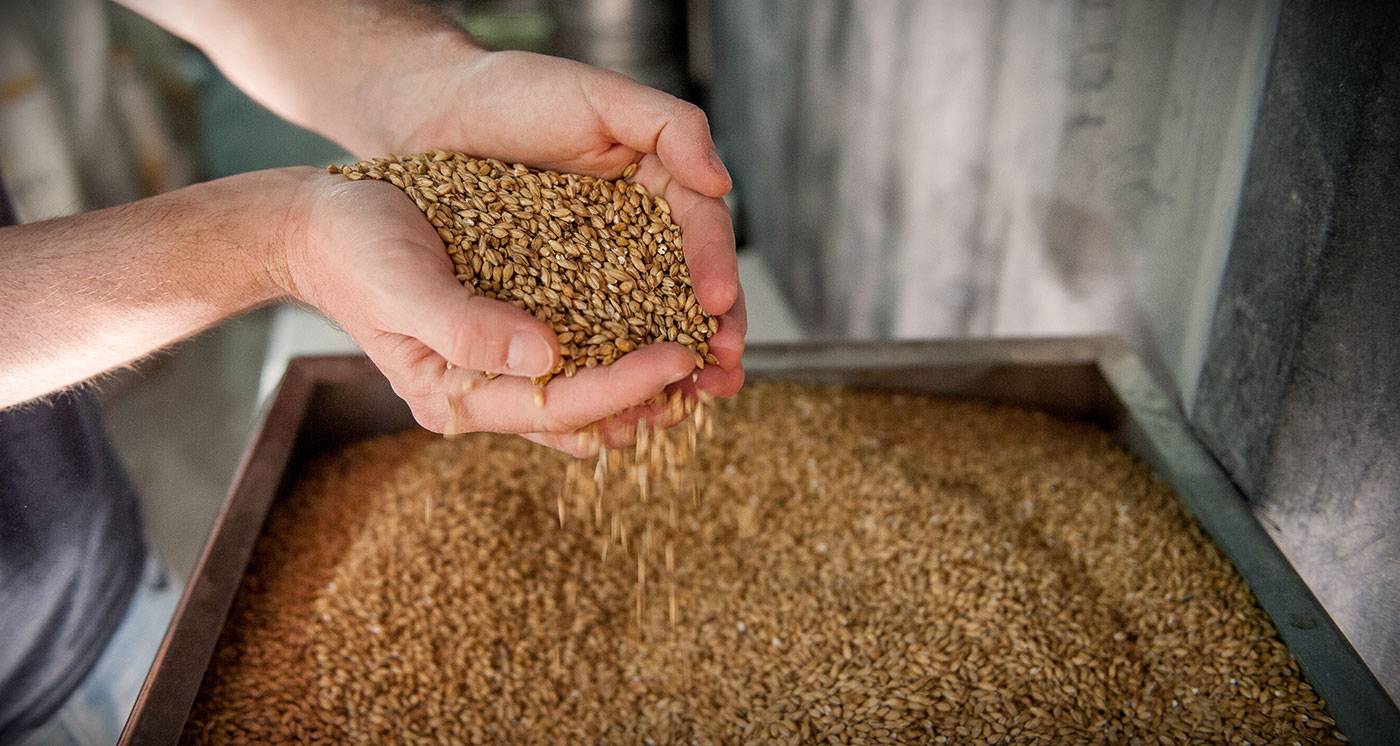 The Mighty Malt Anderson Valley Brewing Company