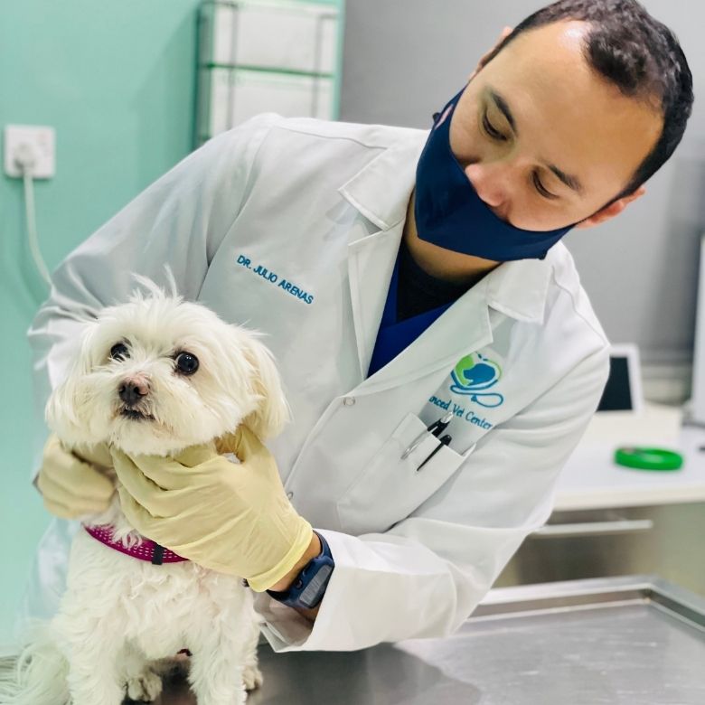 Advanced Veterinary Center