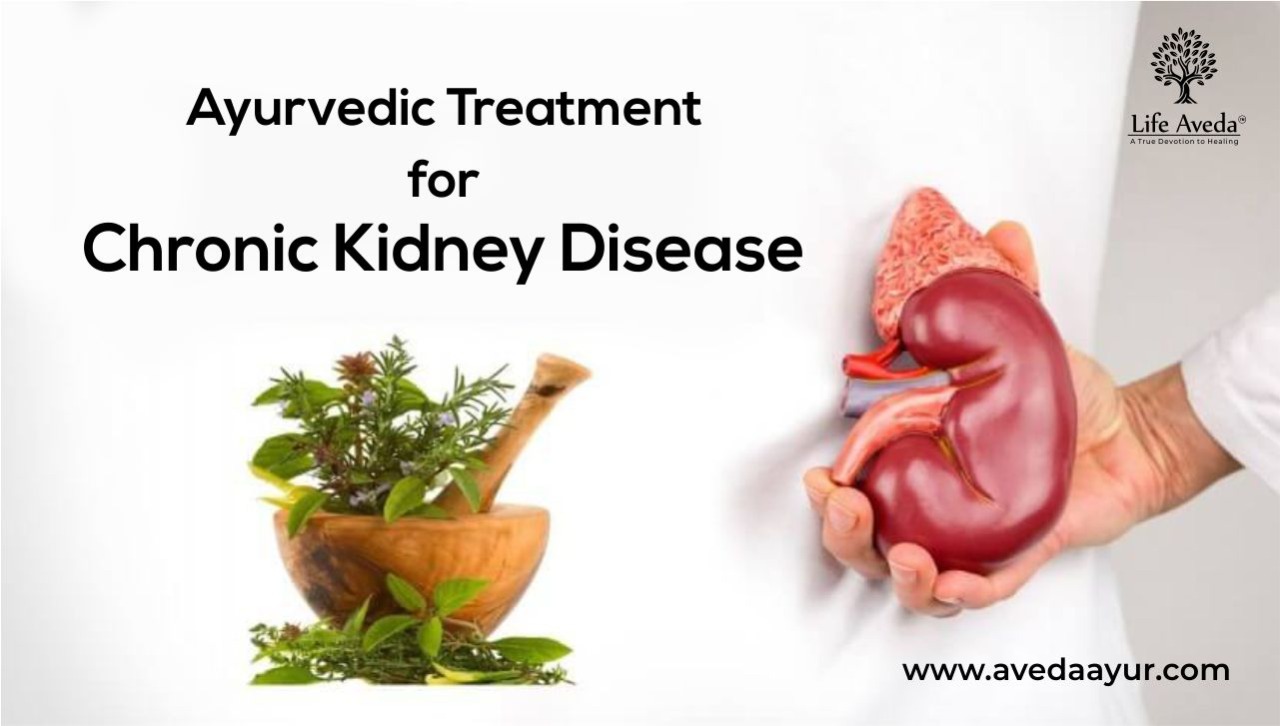Ayurvedic Treatment for Chronic Kidney Disease