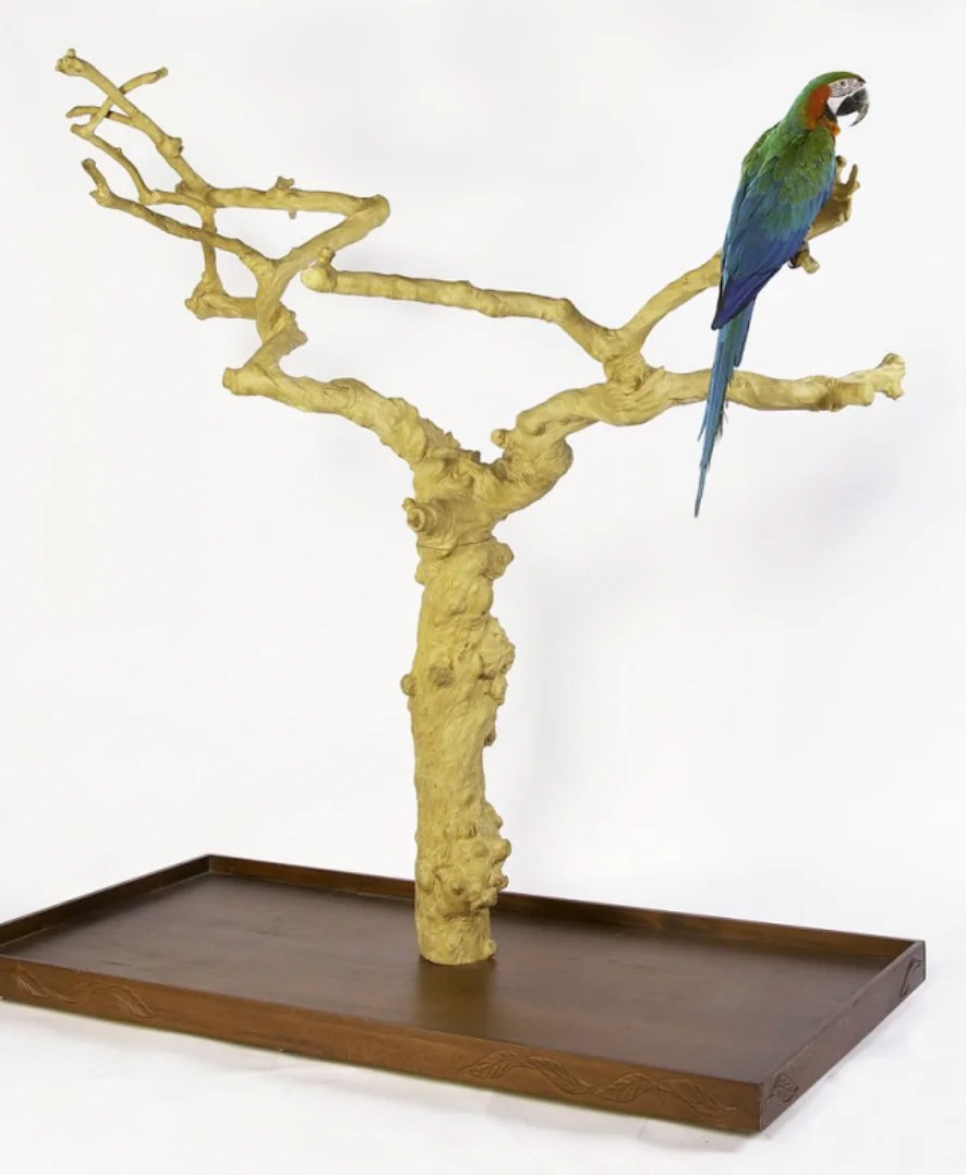 Árbol de Java Tree AL NEW Ave Fauna