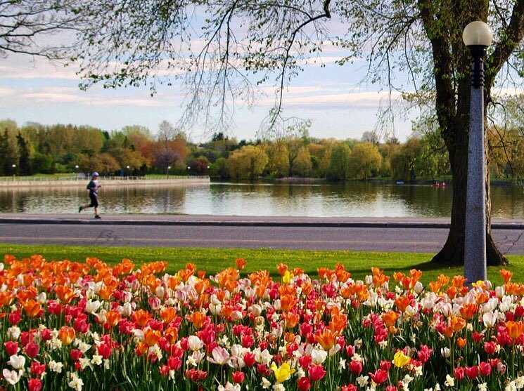 Canadian Tulip Festival