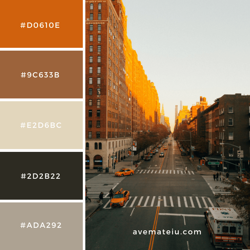 Walking the High Line in New York Color Palette 51 Ave Mateiu