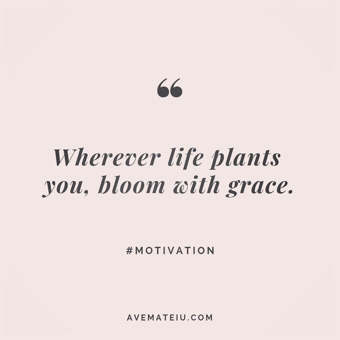 Wherever life plants you, bloom with grace. Quote 247 Ave Mateiu