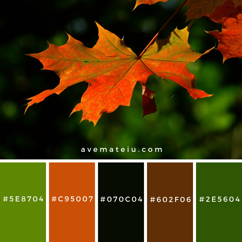 Autumn Leaves Color Palette / Color Palette Ideas From Nature Autumn