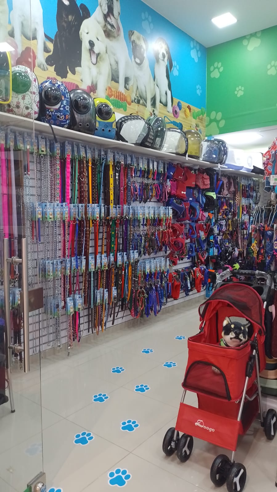 CAPRICHOS PET SHOP Avenida centro comercial