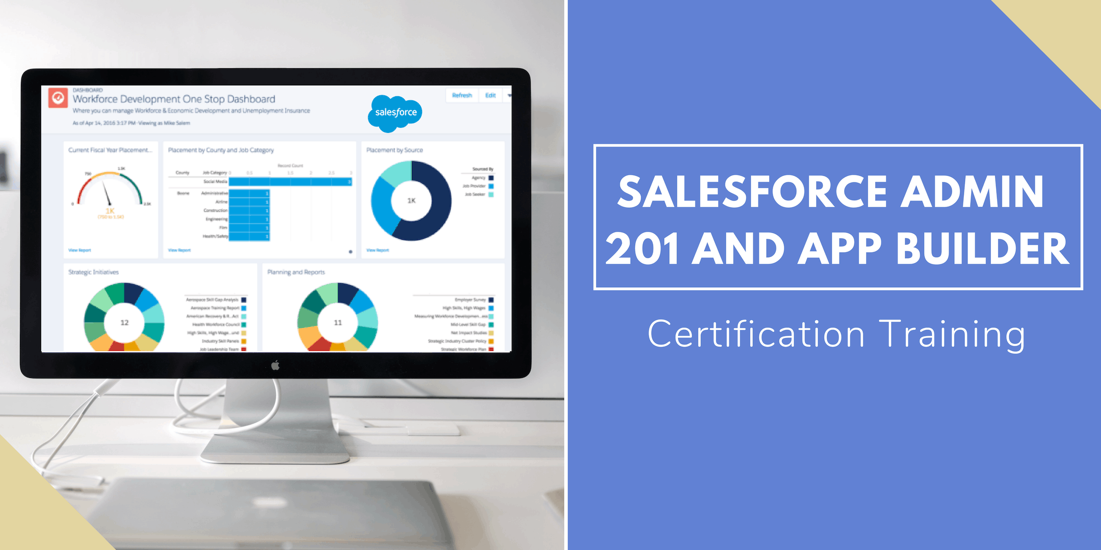 SalesForce Administrator And App Builder(ELearning) Course Aventis