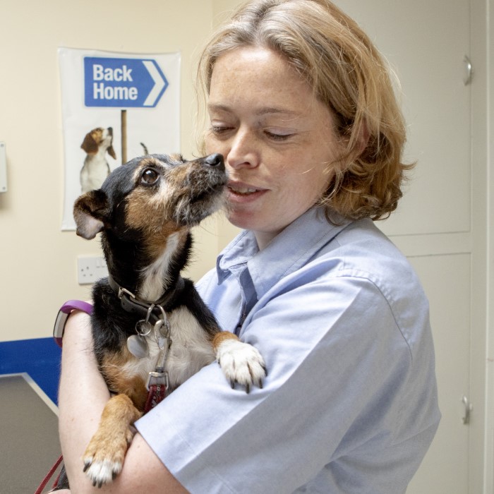 Imaging Avenue Veterinary Centre