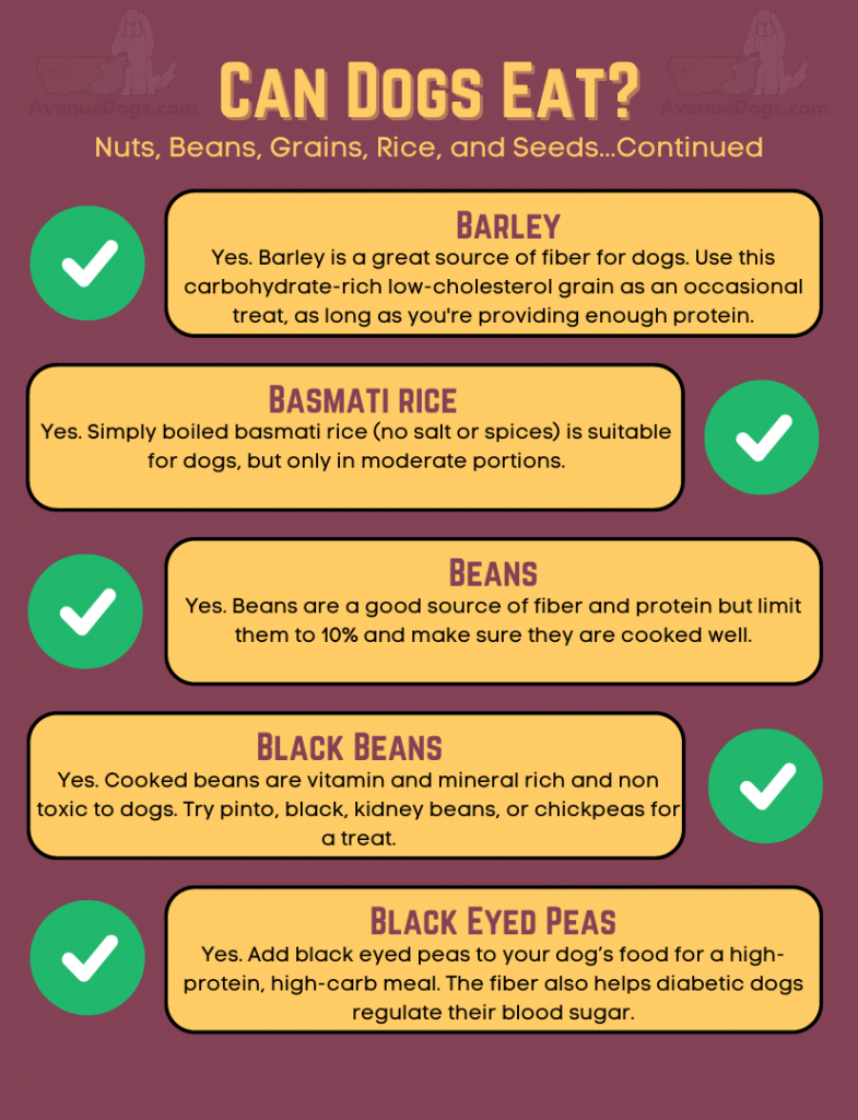 Can Dogs Eat…Nuts, Beans, Grains, Rice, and Seeds Edition Avenue Dogs