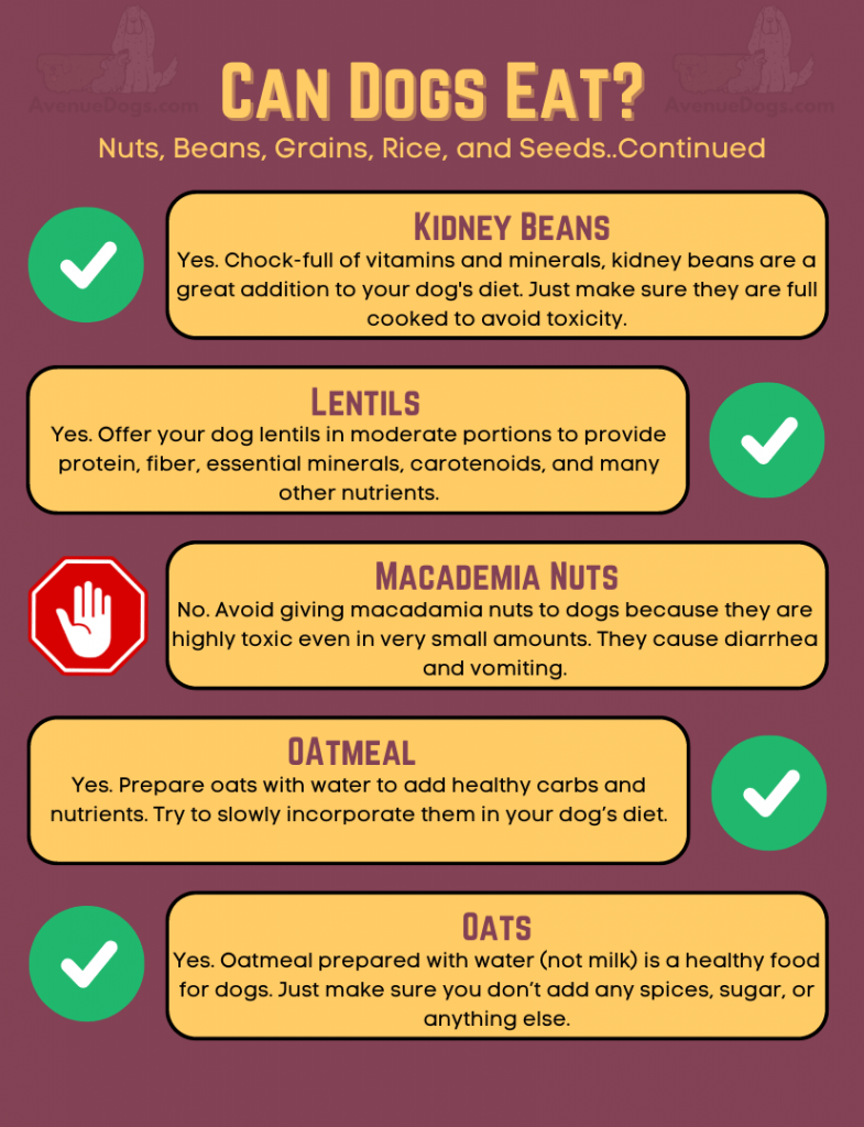 Can Dogs Eat Beans And Lentils