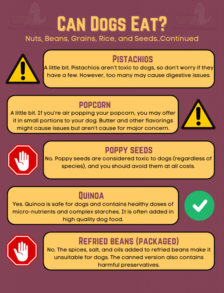 Can Dogs Eat…Nuts, Beans, Grains, Rice, and Seeds Edition Avenue Dogs