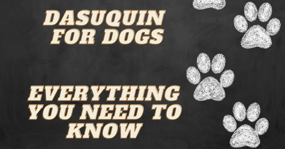 Dasuquin for Dogs VetApproved for Dog Joint Health Avenue Dogs