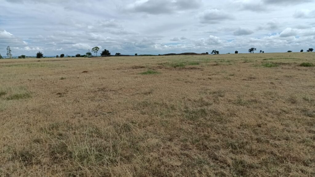 Land for sale in Kitengela Sholinke Area, Kajiado Avenue Valuers