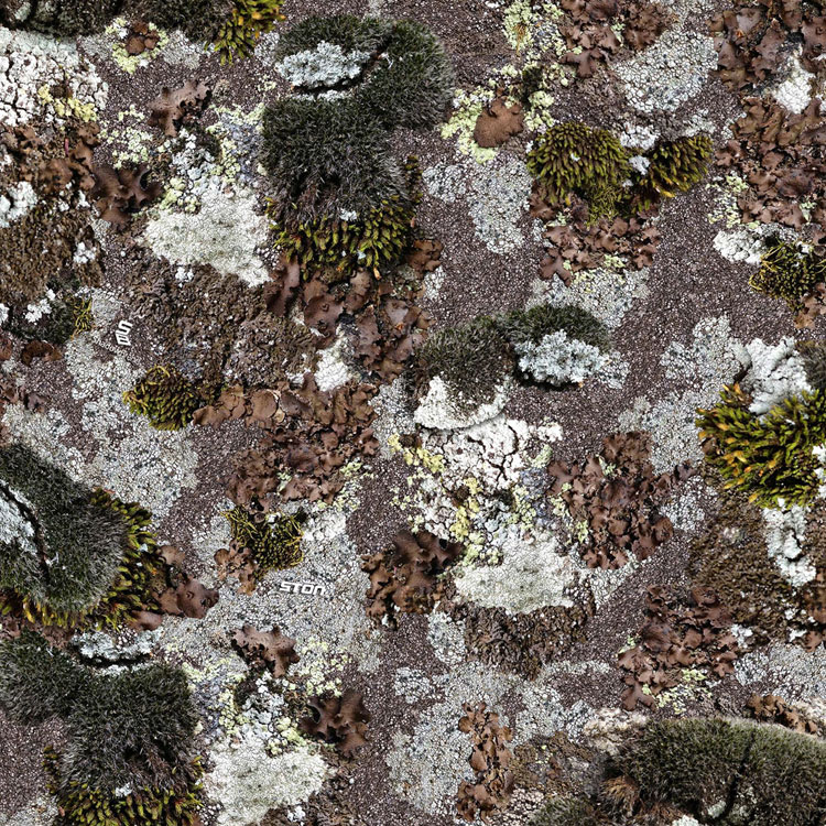 What's the best hunting camo? Take your pick