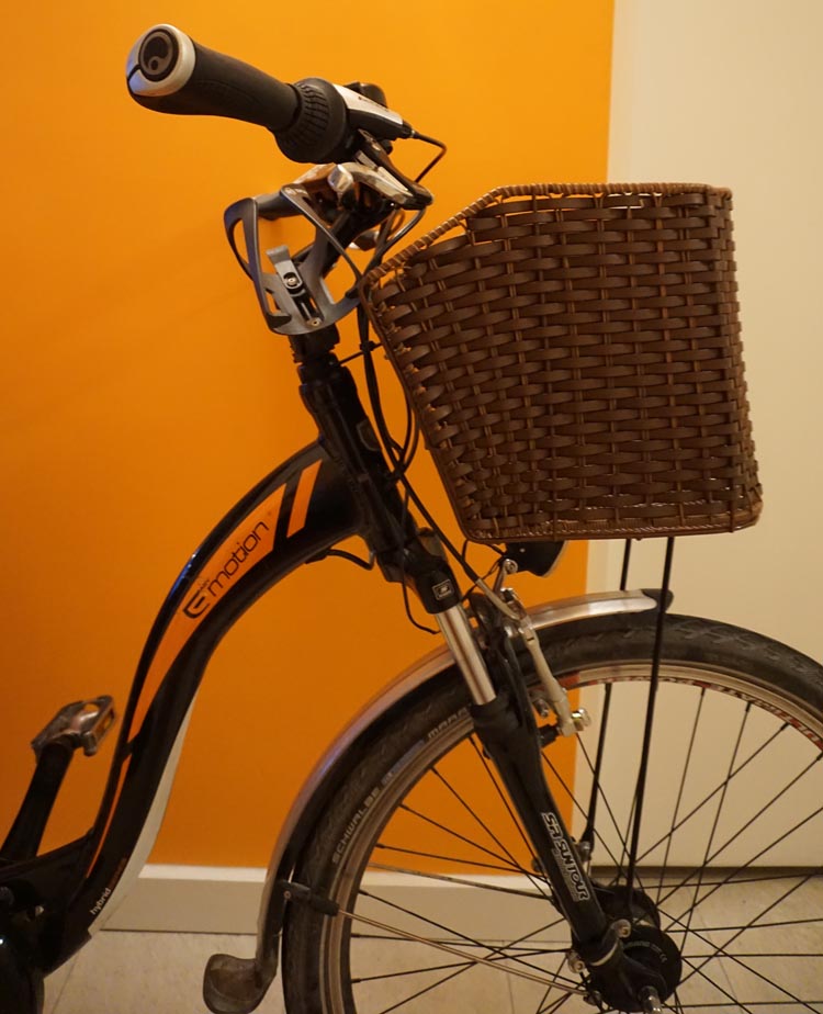 How to Carry your Dog Safely on Your Bike in a Pet Bike Basket